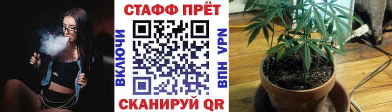 Как найти закладки Сальск гидра ссылка  Бутират  Псилоцибиновые грибы  ГАШИШ  Мефедрон  Конопля 