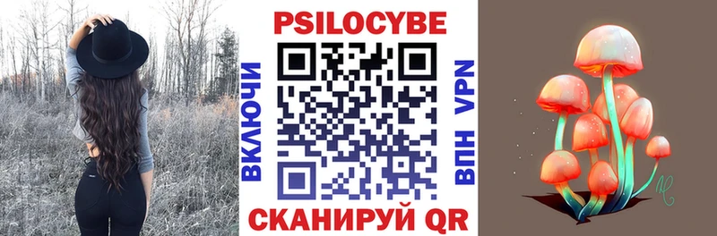 blacksprut рабочий сайт  Сальск  Псилоцибиновые грибы Psilocybe 